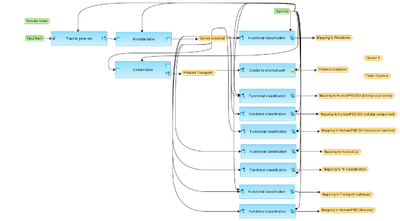 ChIP-Seq-Identify-and-classify-target-genes-HumanPSD-TM-workflow-overview.png