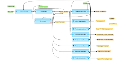 ChIP-Seq-Identify-and-classify-target-genes-TRANSPATH-R-workflow-overview.png